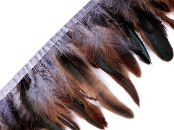 Paszomány - kakas toll szélessége 15 - 19 cm